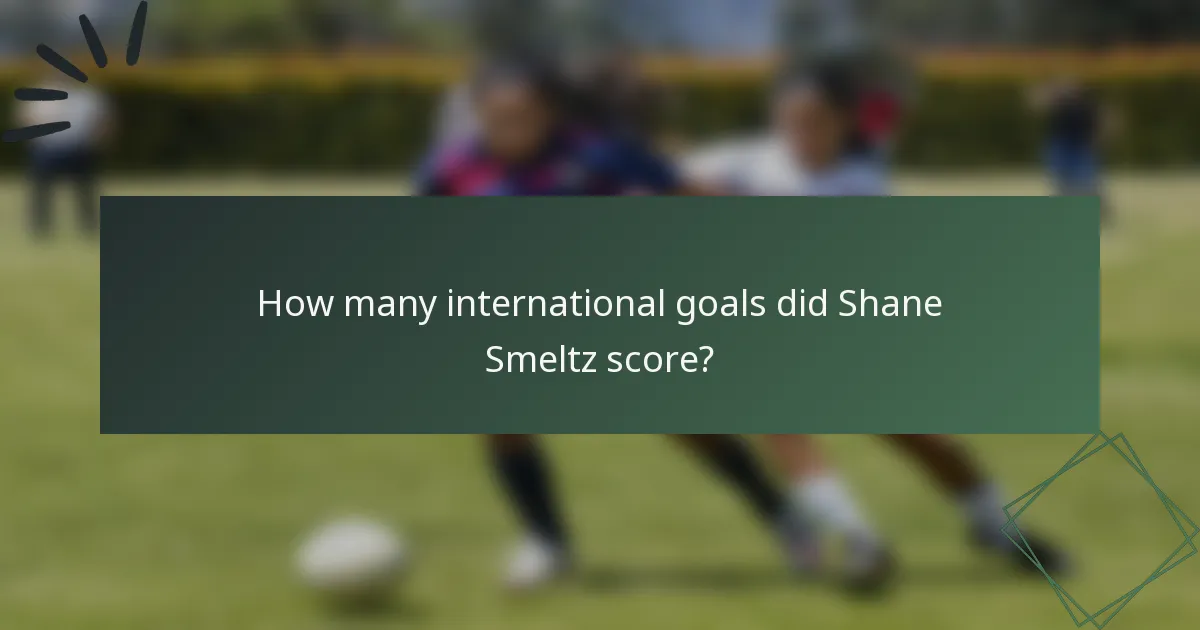 How many international goals did Shane Smeltz score?
