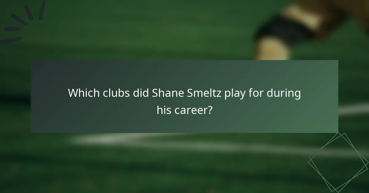 Which clubs did Shane Smeltz play for during his career?